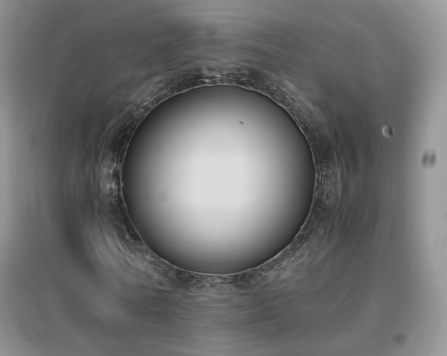 X0000096960770200802081230