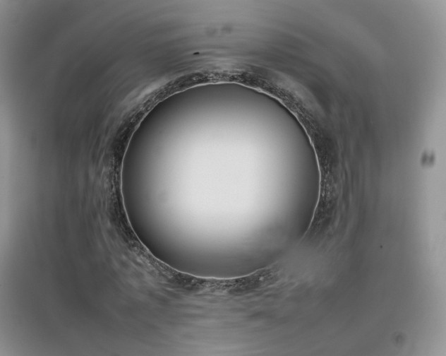 X0000096960773200802081230