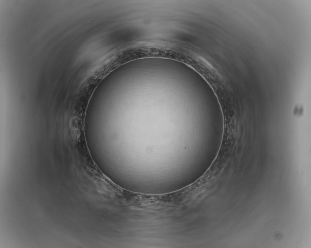 X0000096960774200802081229