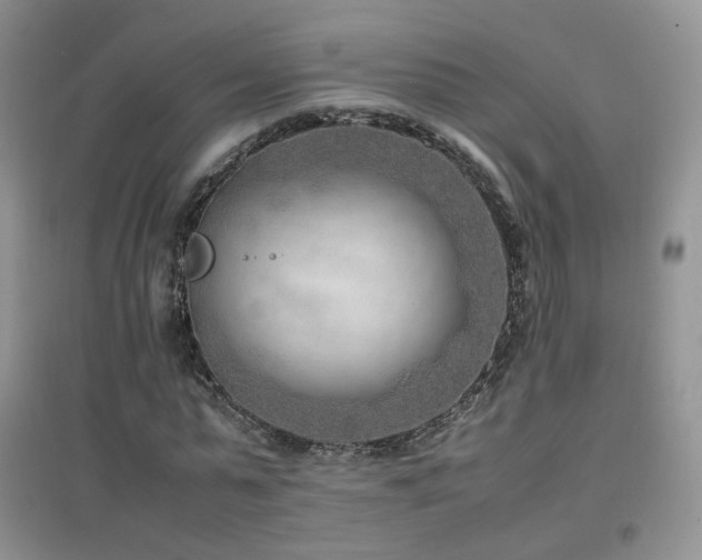 X0000096960775200802081229