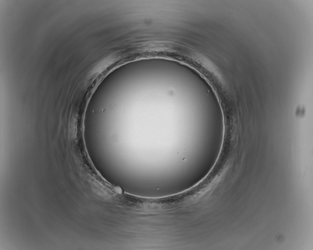 X0000096960777200802081229