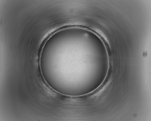 X0000096960781200802081229