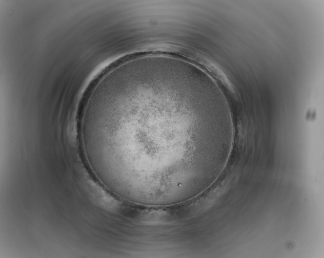 X0000096960784200802081229