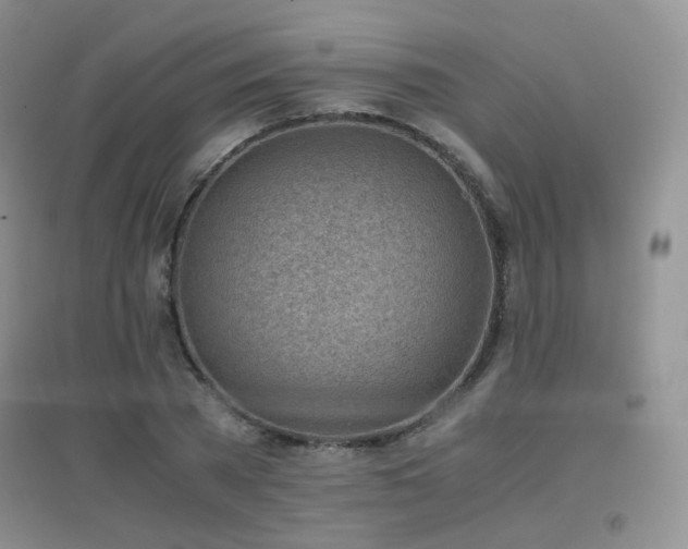 X0000096960785200802081229