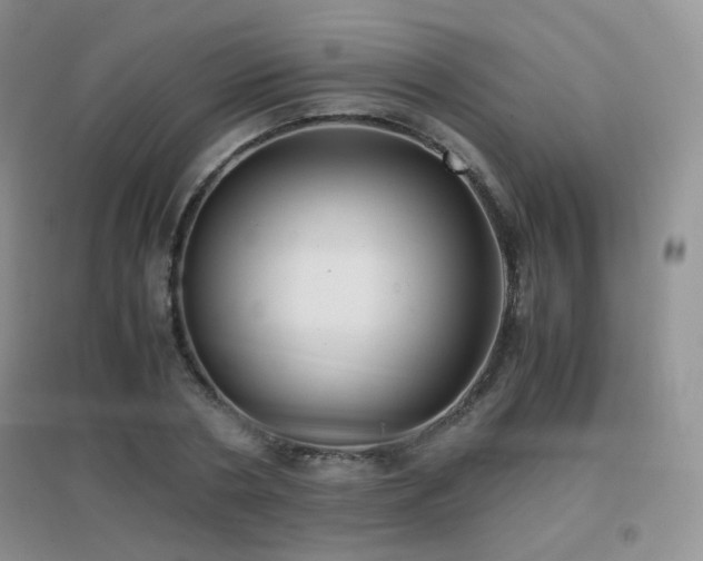 X0000096960786200802081229