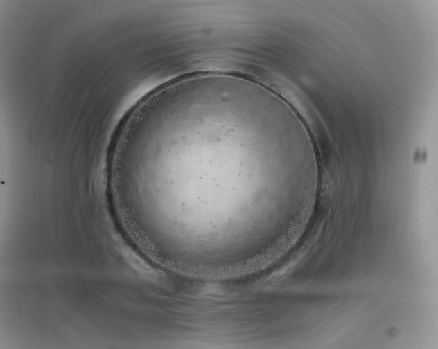 X0000096960787200802081229