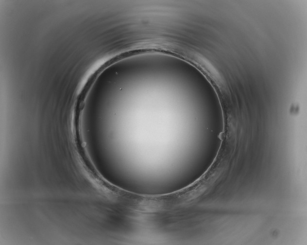 X0000096960788200802081229