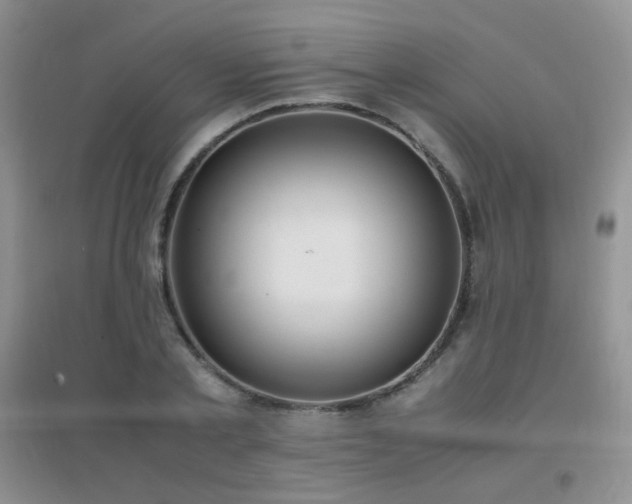 X0000096960789200802081229