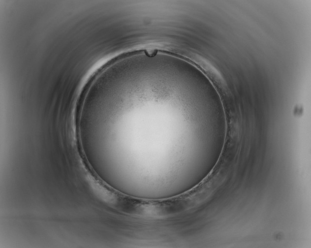 X0000096960792200802081229