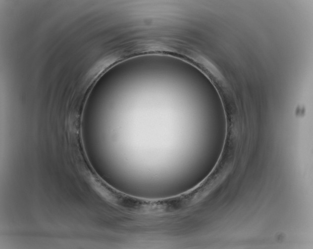 X0000096960793200802081229