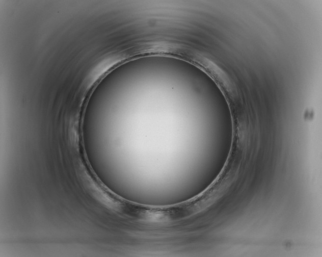 X0000096960794200802081229