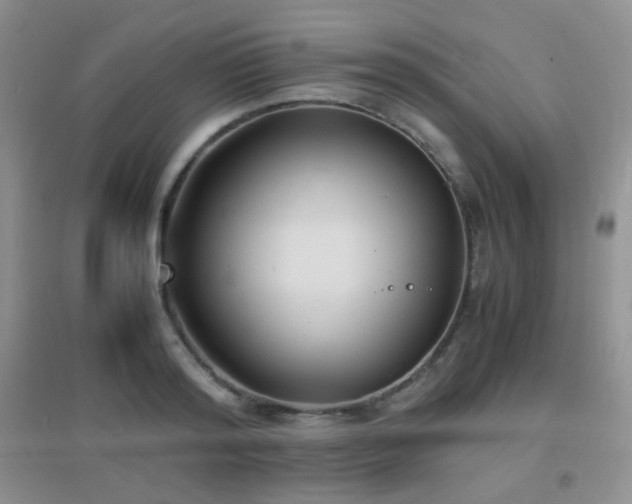 X0000096960796200802081229