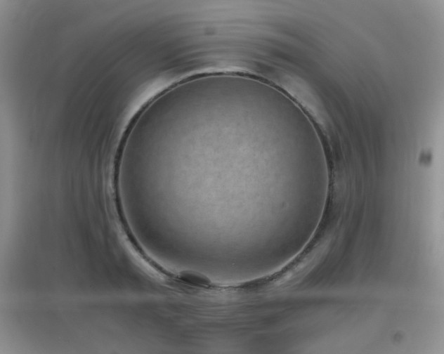 X0000096960797200802081229