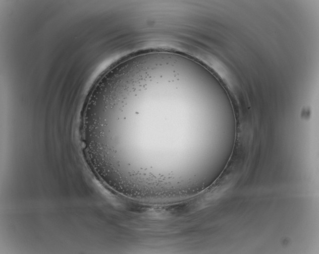 X0000096960799200802081229
