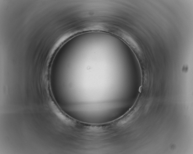 X0000096960800200802081229