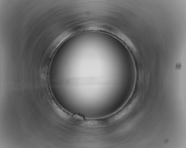 X0000096960801200802081229