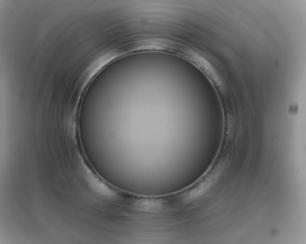 X0000096960802200802081229