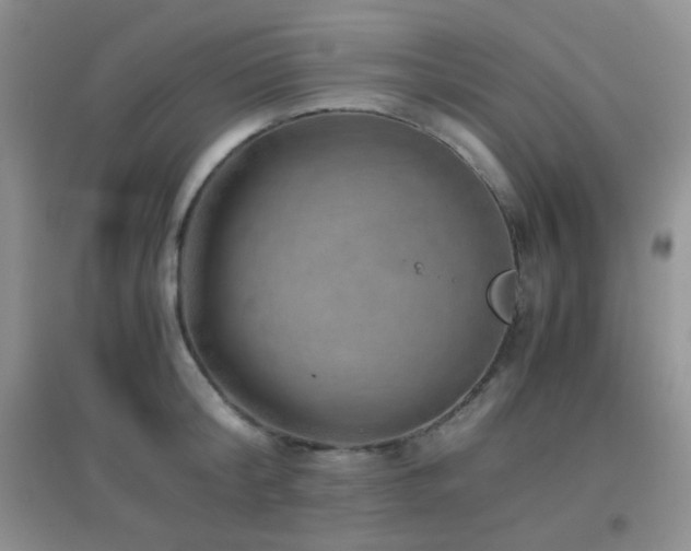 X0000096960804200802081229