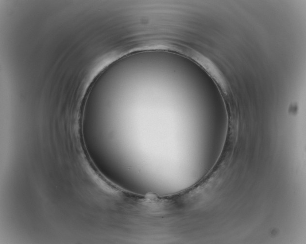 X0000096960805200802081229