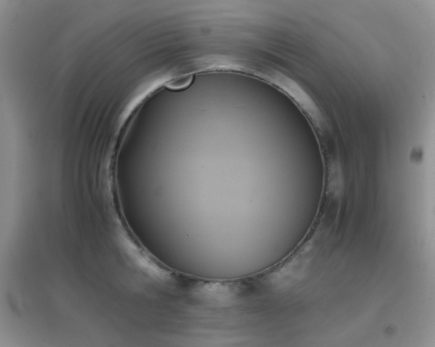 X0000096960806200802081229