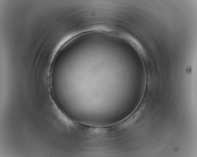 X0000096960808200802081229