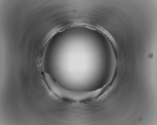X0000096960809200802081229