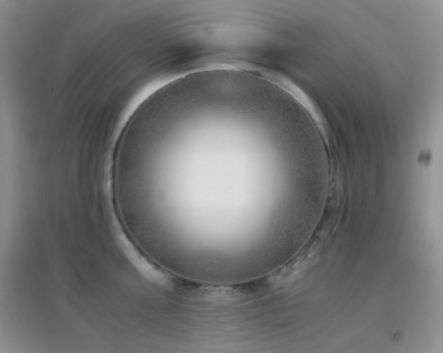 X0000096960811200802081229