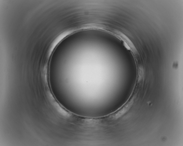 X0000096960812200802081229