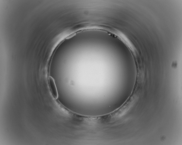 X0000096960813200802081229