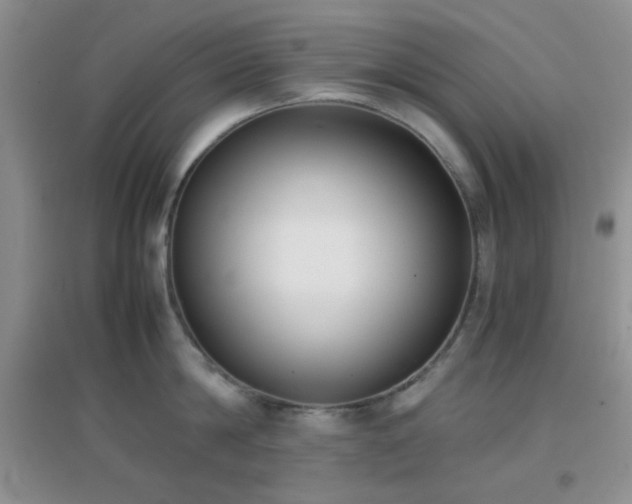 X0000096960814200802081229