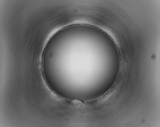 X0000096960815200802081229