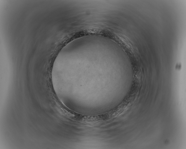 X0000096960817200802081228