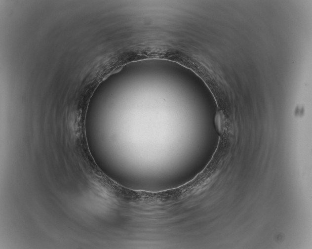 X0000096960818200802081228