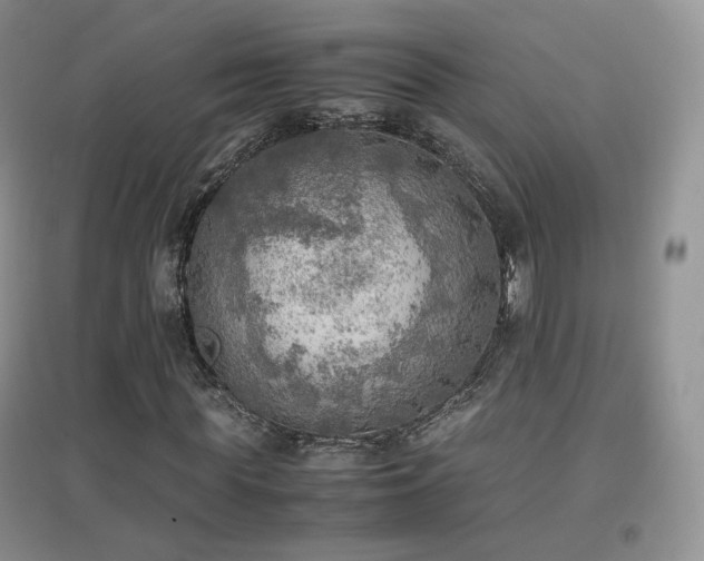 X0000096960819200802081228