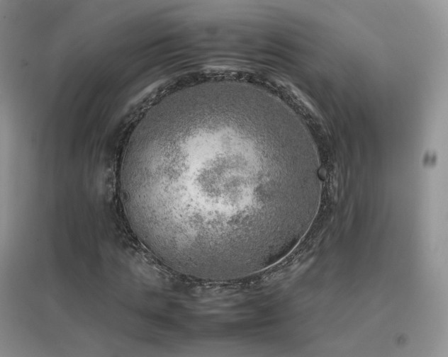 X0000096960821200802081228