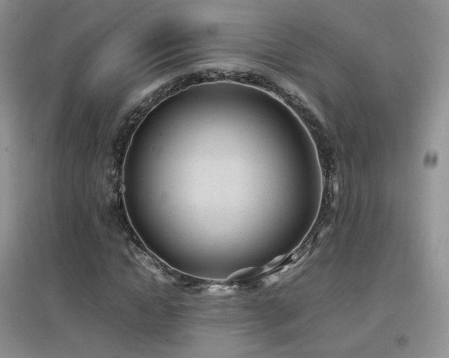 X0000096960822200802081228