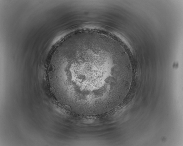 X0000096960823200802081228
