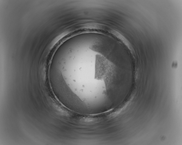 X0000096960829200802081228