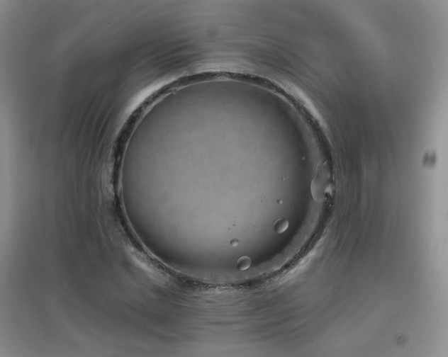 X0000096960830200802081228