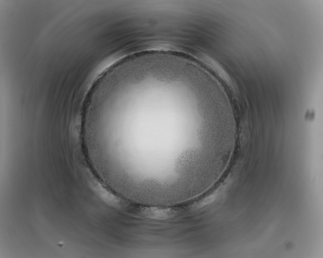 X0000096960831200802081228