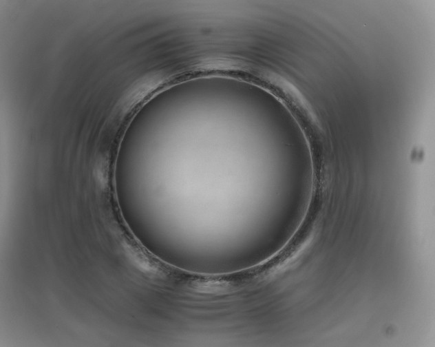 X0000096960833200802081228