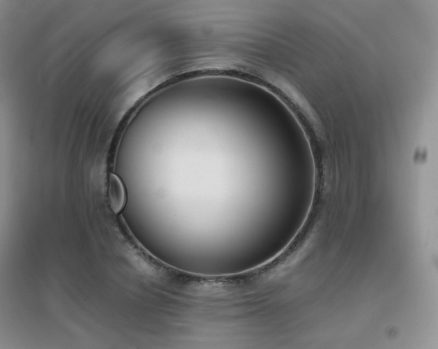 X0000096960834200802081228