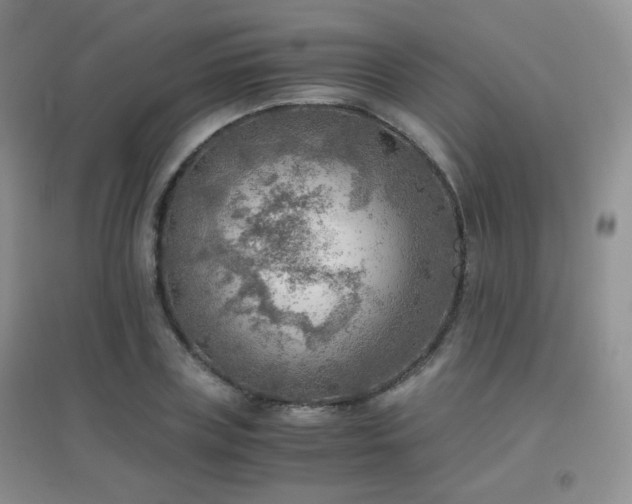 X0000096960835200802081228