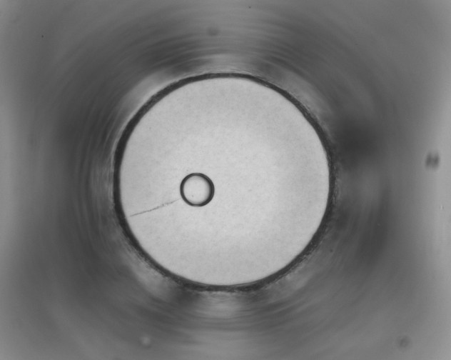 X0000096960836200802081228
