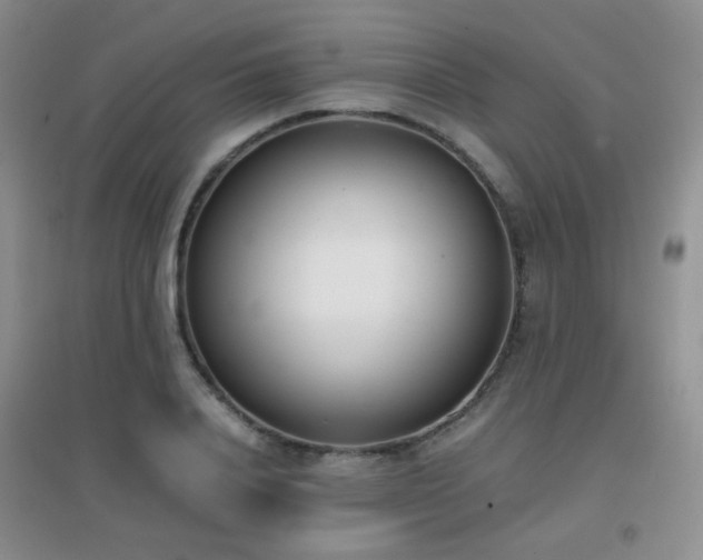 X0000096960840200802081228