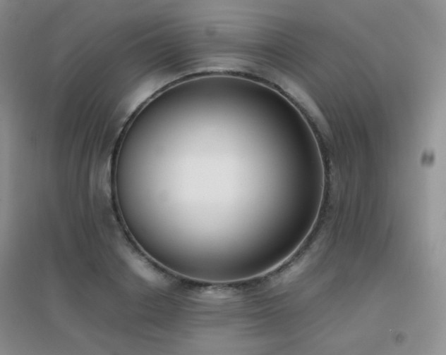 X0000096960842200802081228