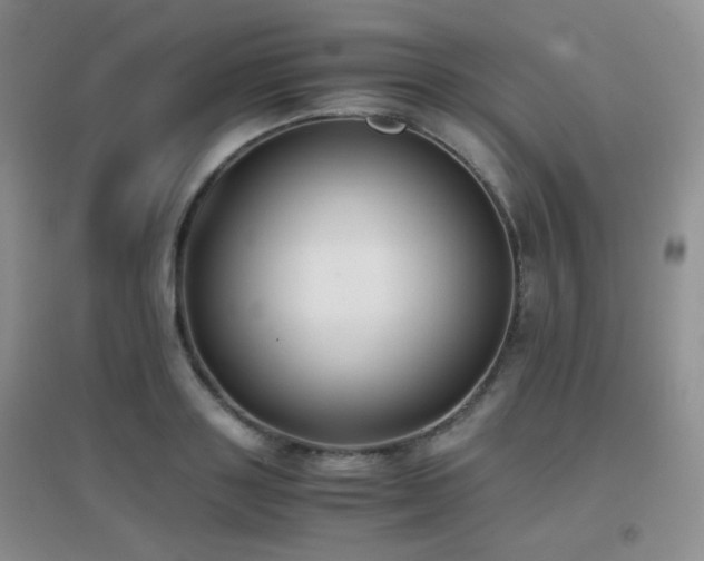X0000096960843200802081228