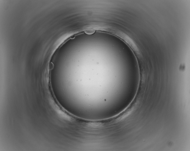 X0000096960844200802081228