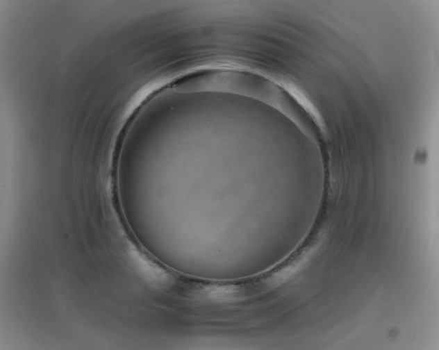 X0000096960845200802081228