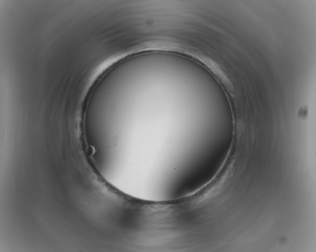 X0000096960846200802081228